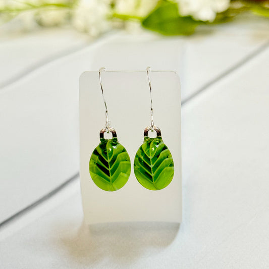 Leaf Fused Glass Earrings - 4141